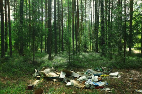 Cost-effective house clearance services in Anerley