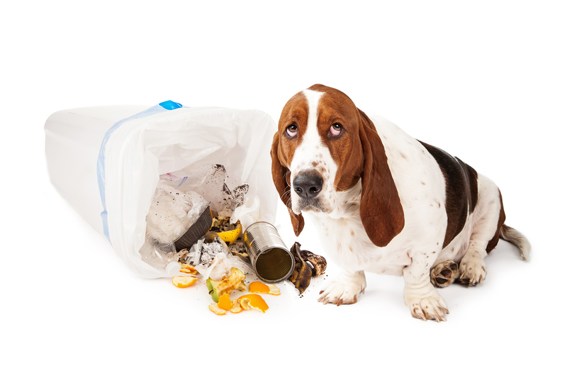 Transform Cluttered Spaces into Tranquil Havens with Cleanup Specialists